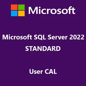 SQL Server 2022 Standard User CAL