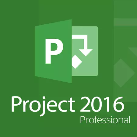 Project Professional 2016 para 1 PC