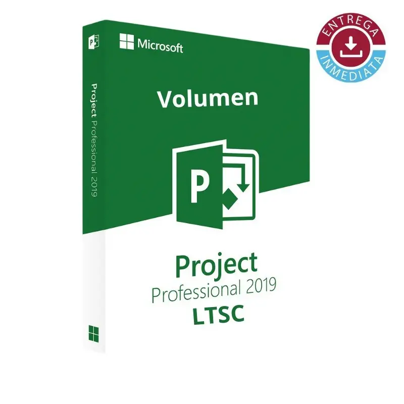 Project Professional 2019 LTSC