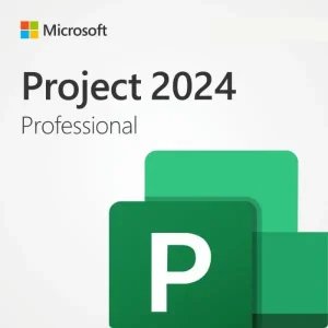 Project 2024 Professional LTSC
