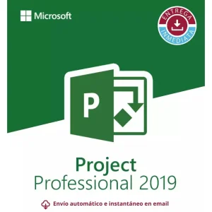 Project Professional 2019 para 1 PC