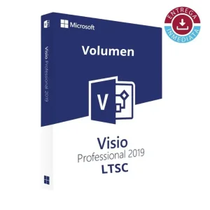 Visio Professional 2019 LTSC