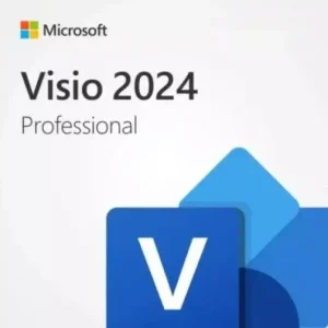 Visio Professional 2024 LTSC para 1 PC