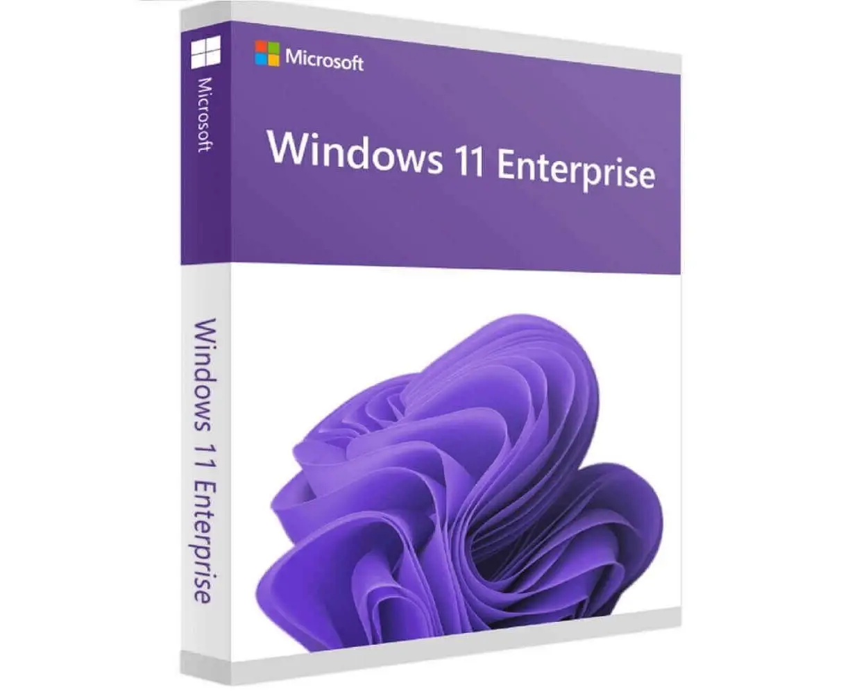 Windows 11 Enterprise