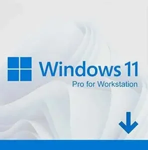 Windows 11 Pro for Workstation